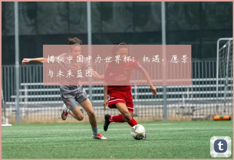 揭秘中国申办世界杯：机遇、愿景与未来蓝图