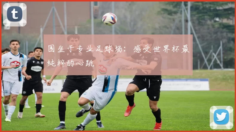 围坐于专业足球场：感受世界杯最纯粹的心跳
