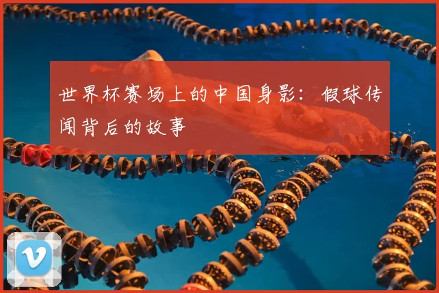 世界杯赛场上的中国身影：假球传闻背后的故事