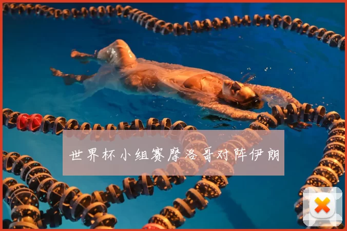 世界杯小组赛摩洛哥对阵伊朗