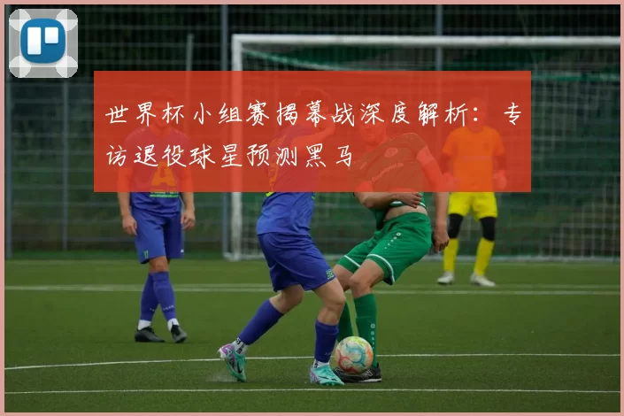 世界杯小组赛揭幕战深度解析：专访退役球星预测黑马