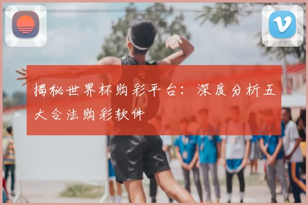 揭秘世界杯购彩平台：深度分析五大合法购彩软件