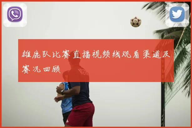 雄鹿队比赛直播视频线观看渠道及赛况回顾