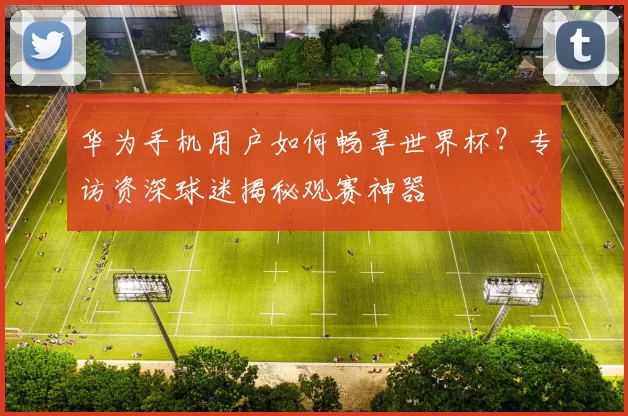 华为手机用户如何畅享世界杯？专访资深球迷揭秘观赛神器