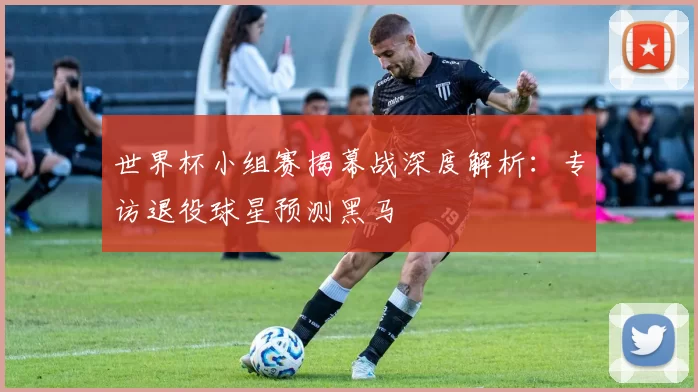 世界杯小组赛揭幕战深度解析：专访退役球星预测黑马