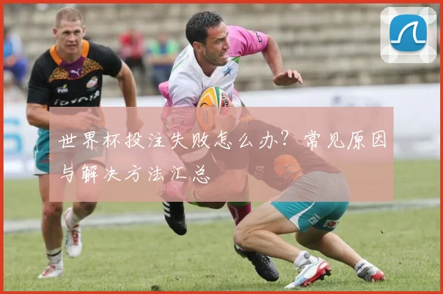 世界杯投注失败怎么办？常见原因与解决方法汇总