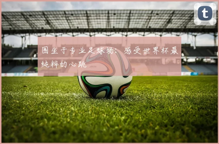 围坐于专业足球场：感受世界杯最纯粹的心跳