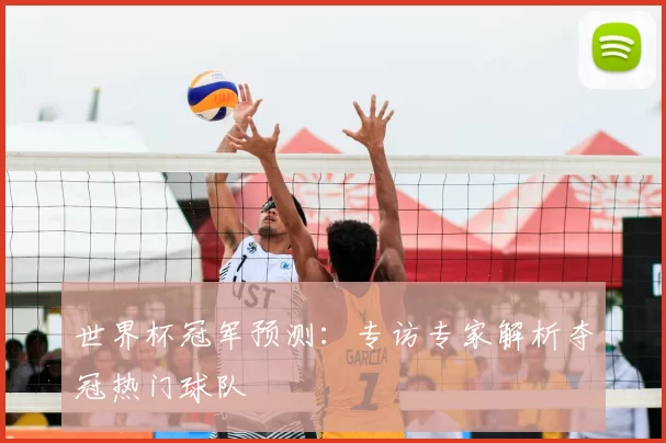 世界杯冠军预测:专访专家解析夺冠热门球队