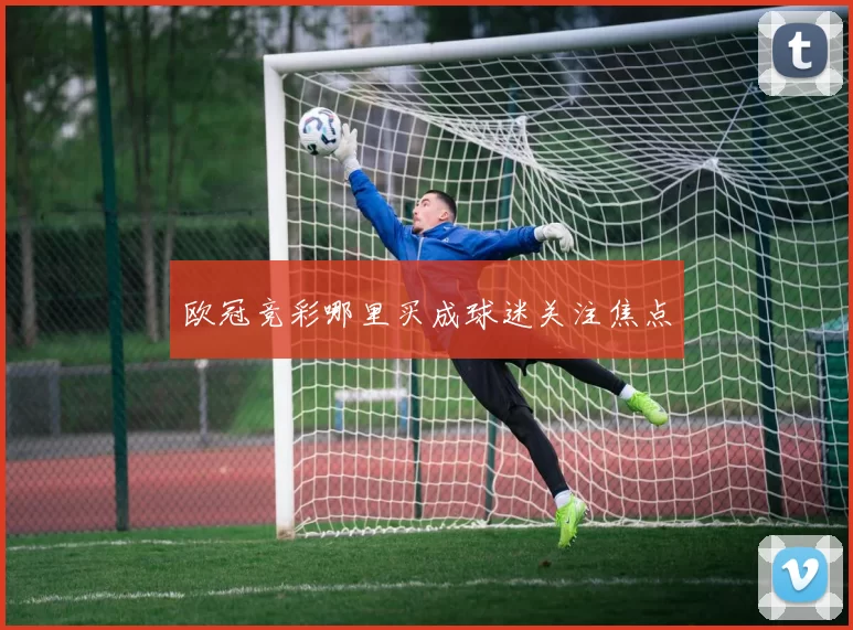 欧冠竞彩哪里买成球迷关注焦点