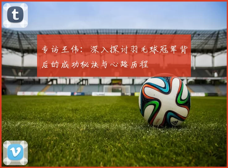 专访王伟：深入探讨羽毛球冠军背后的成功秘诀与心路历程