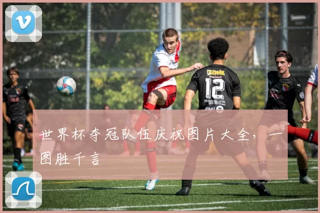 世界杯夺冠队伍庆祝图片大全，一图胜千言
