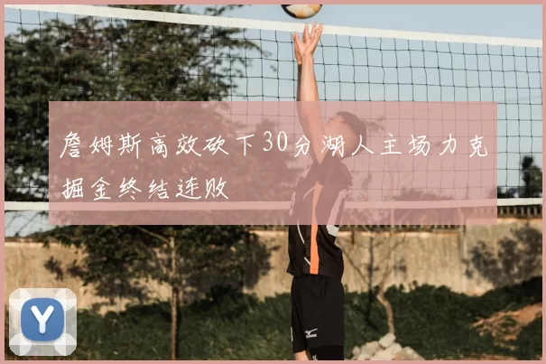 詹姆斯高效砍下30分湖人主场力克掘金终结连败