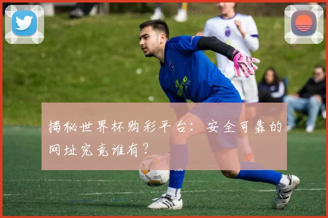 揭秘世界杯购彩平台:安全可靠的网址究竟谁有?