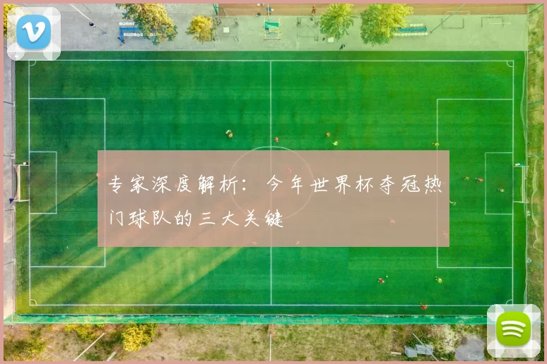 专家深度解析：今年世界杯夺冠热门球队的三大关键