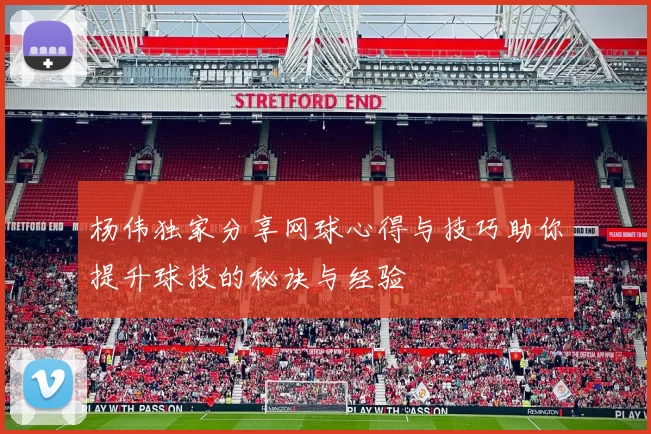 杨伟独家分享网球心得与技巧助你提升球技的秘诀与经验